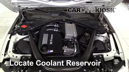 2015 BMW M4 3.0L 6 Cyl. Turbo Coupe Coolant (Antifreeze) Add Coolant